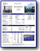 Investment Analysis Executive Summary